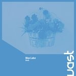 cover: Max Lake - Duck