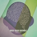 cover: House Beach Ensemble - True Lies