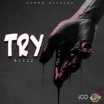 cover: Acezz - Try