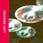 cover: Joseph Terruel - LOST GROOVES