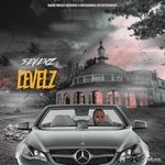 cover: Sevenz - Levelz