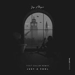 cover: Jay Aliyev - Just A Fool