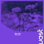 cover: Max Lake - Under Control