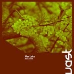 cover: Max Lake - Bass Sound