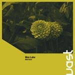 cover: Max Lake - Mini Rave