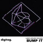 cover: Lake House Sound - Bump It