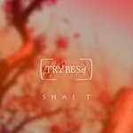 cover: Shai T - Miracles