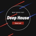 cover: Deep House - What Drives You?