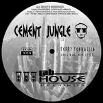 cover: Terry Tennaglia - Cement Jungle