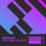 cover: Monoverse - Everything You Are/We Are