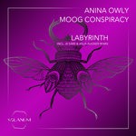 cover: Anina Owly|Moog Conspiracy - Labyrinth