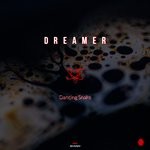 cover: Dreamer - Dancing Snake