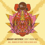 cover: Arkady Antsyrev - Don't Know Why