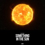 cover: Can Ergun - Something In The Sun