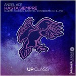 cover: Angel Ace - Hasta Siempre