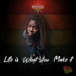 cover: Spechinal - Life Is What You Make It