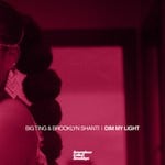 cover: Brooklyn Shanti - Dim My Light