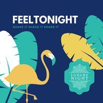 cover: Feeltonight - Shake It Shake It Shake It