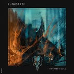 cover: Funkstate - Untimed Souls