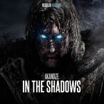 cover: Akanoize - In The Shadows