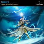 cover: Timmy Trumpet|Vini Vici - Thunder