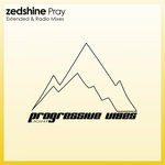 cover: Zedshine - Pray