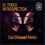 cover: Dj Fudge - Introspection (Cee ElAssaad Remix)