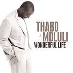 cover: Thabo Mdluli - Wonderful Life