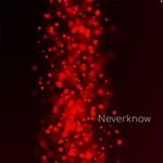 cover: U.spin - Neverknow