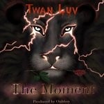 cover: Twan Luv - The Moment