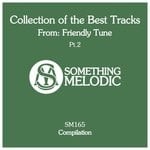 cover: Friendly Tune|Furkan Senol|Natune|Vetlove - Collection Of The Best Tracks From: Friendly Tune Part 2