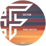 cover: Daniel Meister - Section