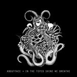 cover: Aboutface - In The Tepid Shine We Breathe