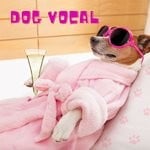 cover: Les Winner's - Dog Vocal