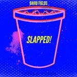 cover: David Fields - Slapped!