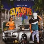 cover: Grymdon - Expensive Life