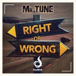 cover: Mr.tune - Right Or Wrong