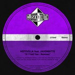 cover: Hotevilla|Javonntte - If I Told You Remixes