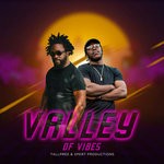 cover: Tallpree|Xpert Productions - Valley Of Vibes (Explicit)