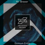 cover: Mr. Brewer - Osmium Entity