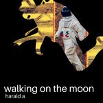 cover: Harald A - Walking On The Moon