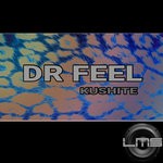 cover: Dr Feel - Kushite