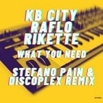 cover: Raflo|Rikette|Kb City - What You Need (Stefano Pain & Discoplex Remix)