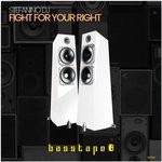 cover: Stefanino Dj - Fight For Your Right