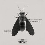 cover: Joaquin Ruiz - Traumatiq EP