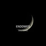 cover: Gill Luno - Endowed