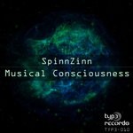 cover: Spinnzinn - Musical Consciousness