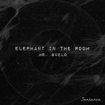 cover: Mr. Guelo - Elephant In The Room