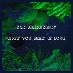 cover: Dan Wainwright - What You Need Is Love