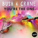 cover: Bush & Crane - You're The One